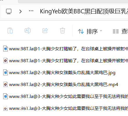 【整理】【115eD2k】KingYeb欧美BBC黑白配，极品雪肤巨乳媚黑婊被黑人爆插，3p，乳交，大概是世界上最爽的奶炮了！【5.4g/35v/1配额】