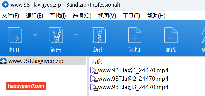 【自转】【115ed2k】⭐【推特巨乳】家有e妻 最新紧束强奸系列【3V/3.56G/1配额】