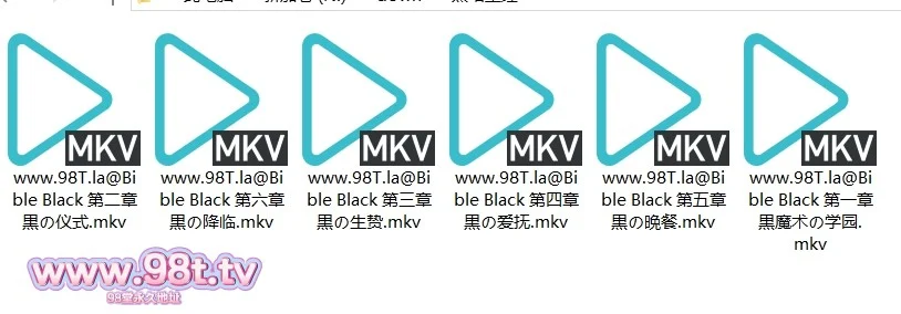 【整理】【115ED2K】黑暗圣经1 动画 含小穴肉戏片段 整理剪辑集 【6V/5.19G/6配额】