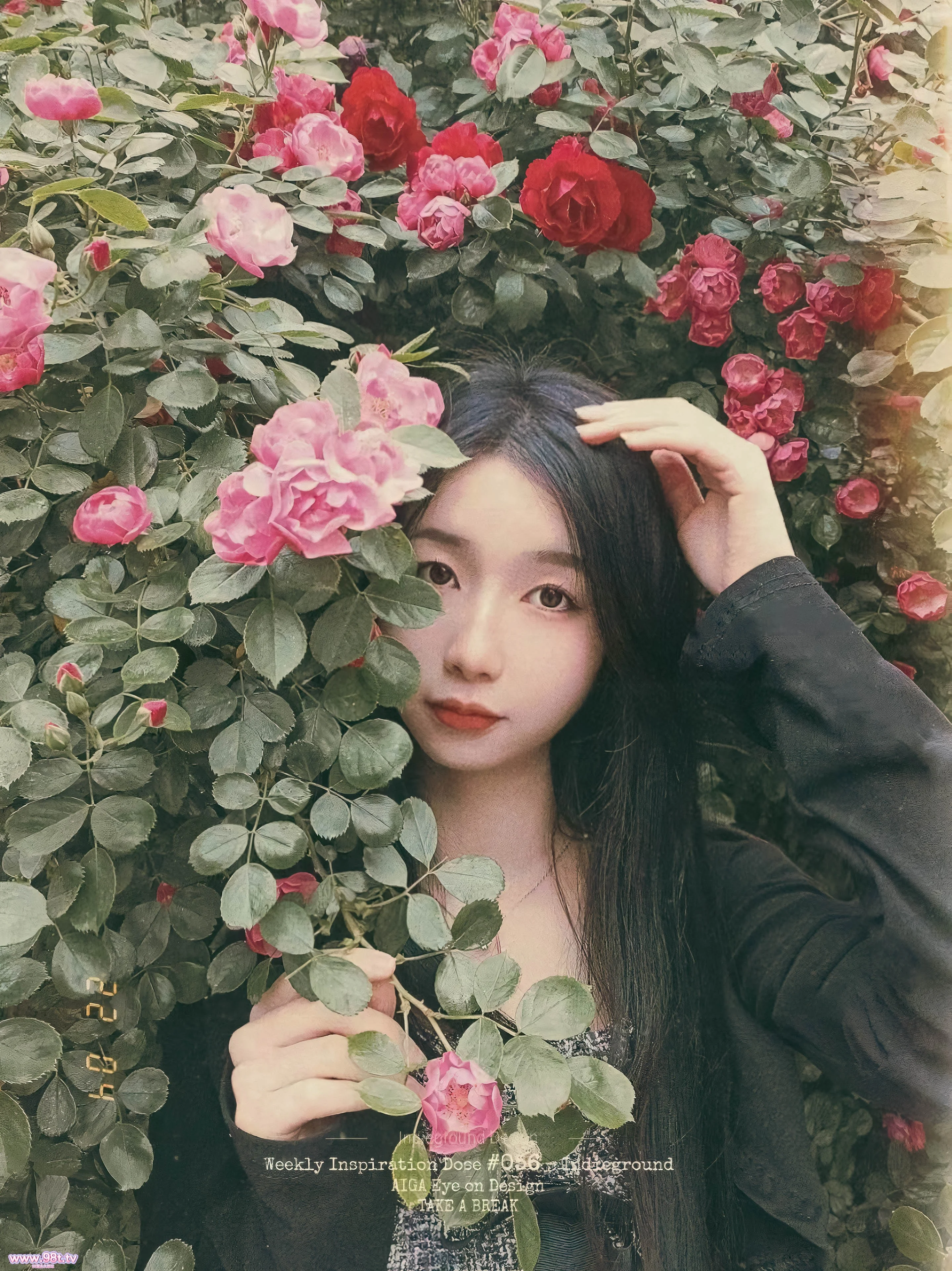 【自转】【ED2K】极品高颜值气质美女刘雯与男友性爱泄密视图流出【1.1G /11P+1v/1配额】